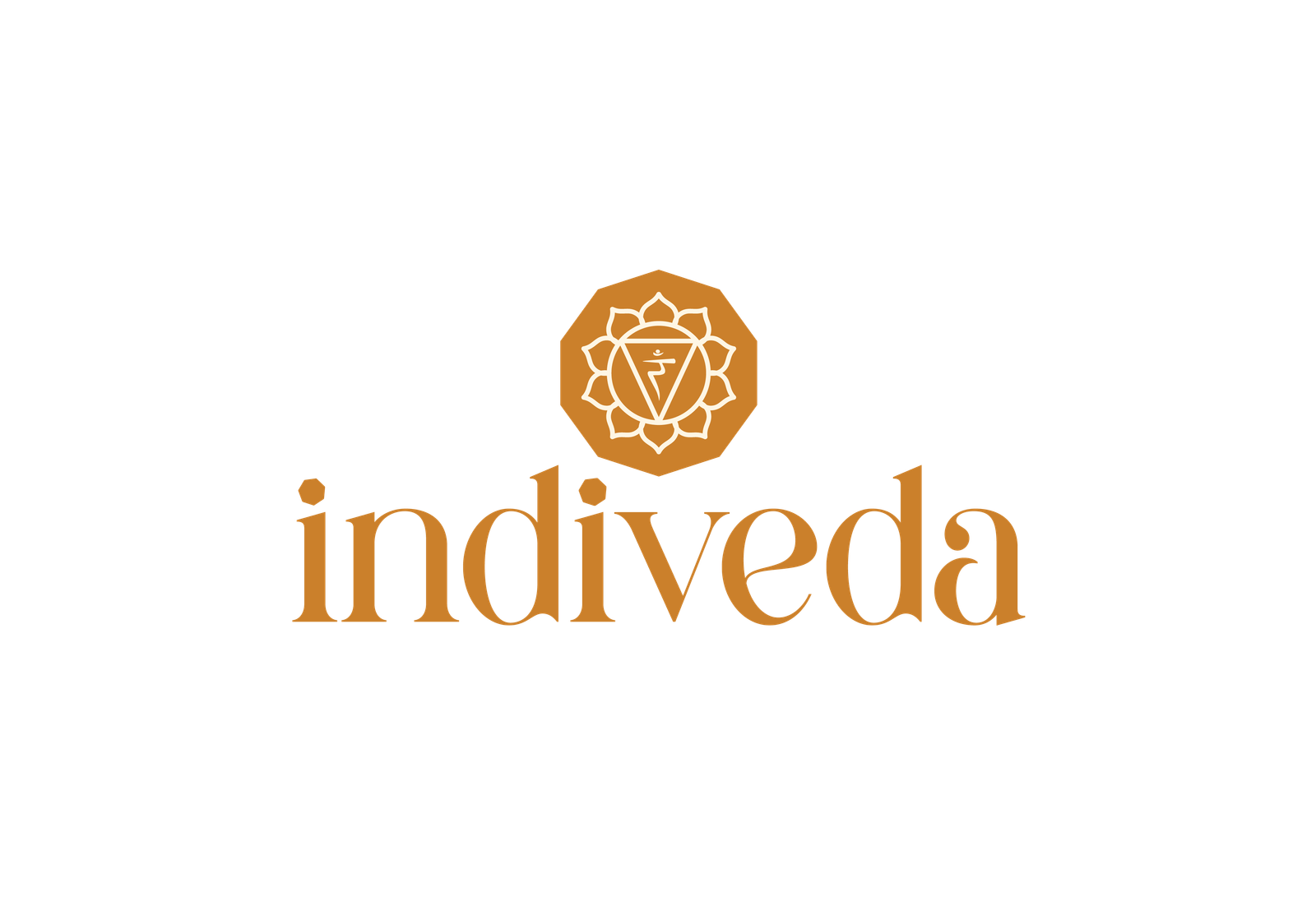indiveda Logo-01